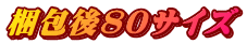 梱包後80サイズ